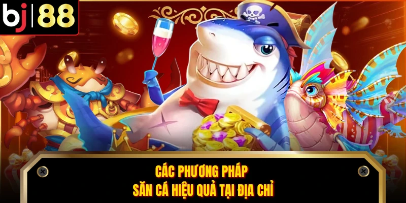 Các phương pháp săn cá hiệu quả tại địa chỉ