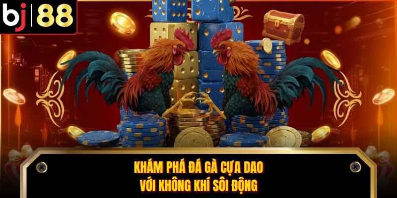 Khám phá đá gà cựa dao với không khí sôi động