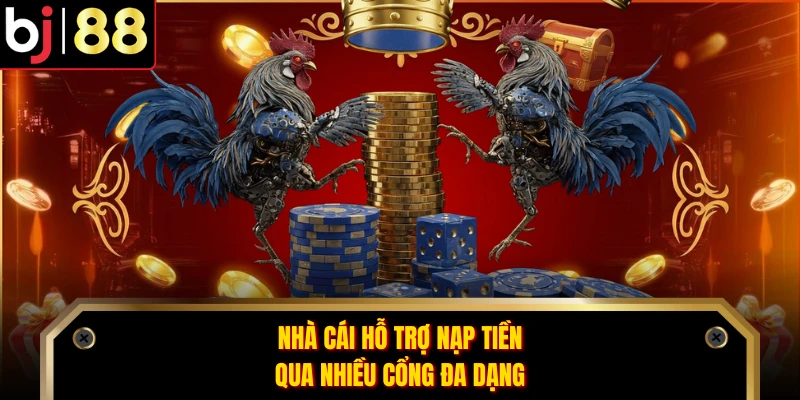 Nhà cái hỗ trợ nạp tiền qua nhiều cổng đa dạng